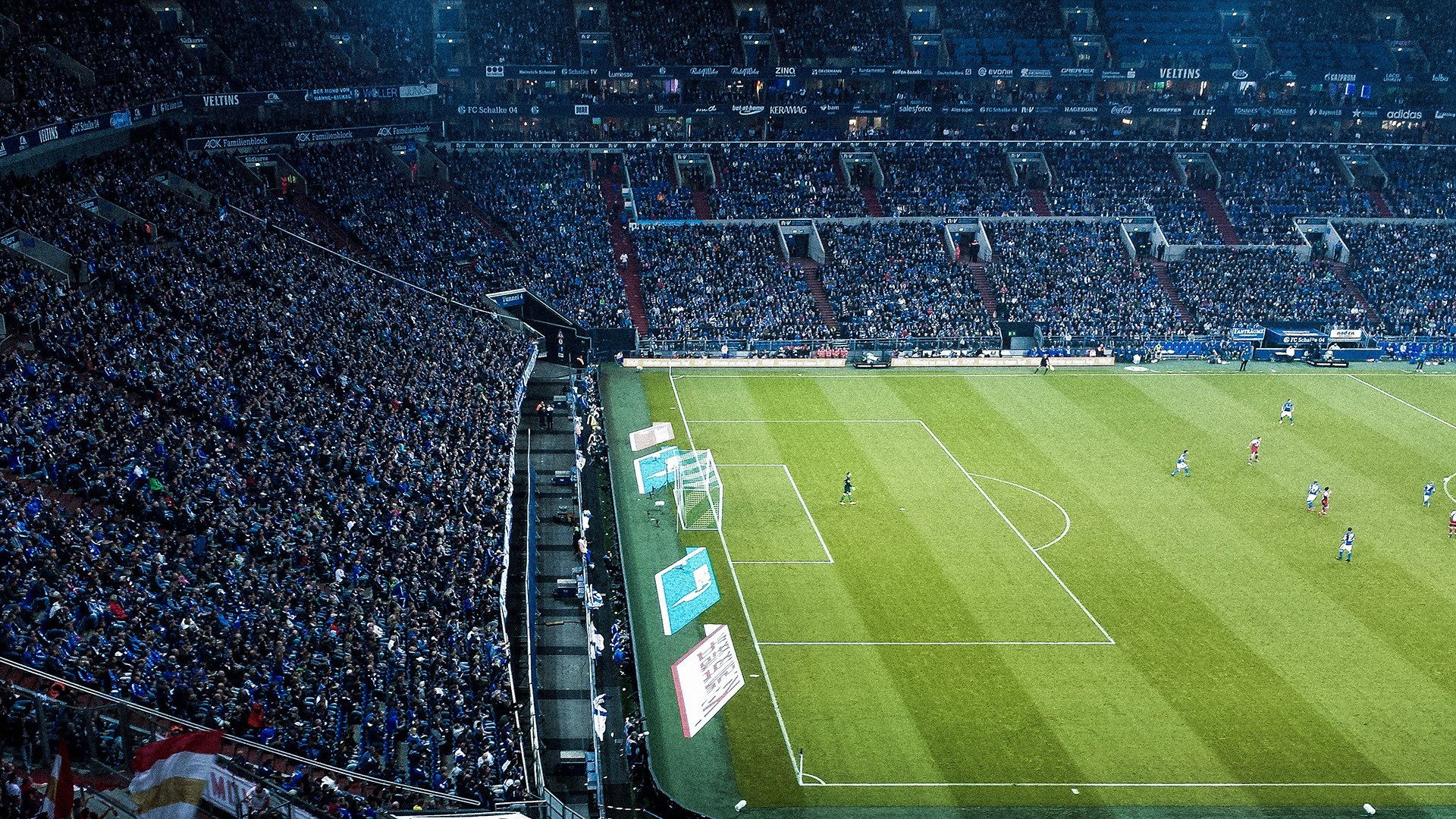 AYXSPORTSAPP-赛尔·阿尔斯塔：无畏迎接挑战，带领南非队走向全球橄榄球之巅